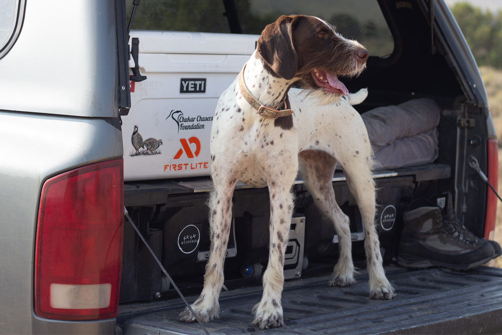 Upchukar Podcast