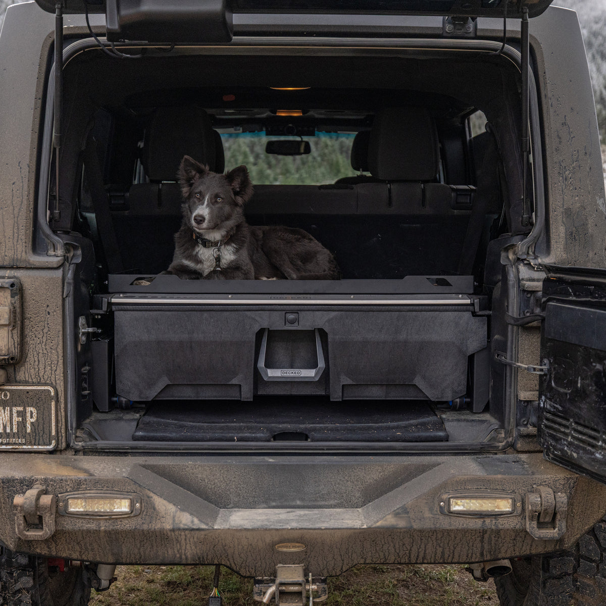 Dog sitting above a DECKED Drawer System in the cargo area of a Jeep Wrangler.