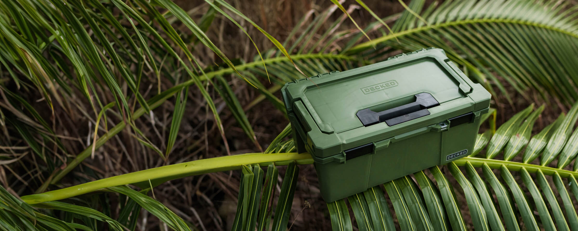 The Ranger Green Sixer balancing on a bright green palm frond.