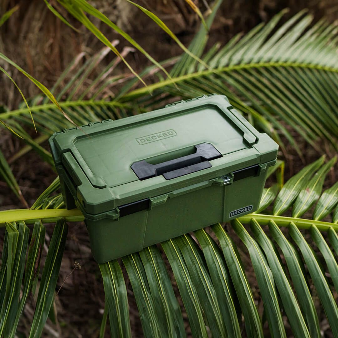 The Ranger Green Sixer balancing on a bright green palm frond.