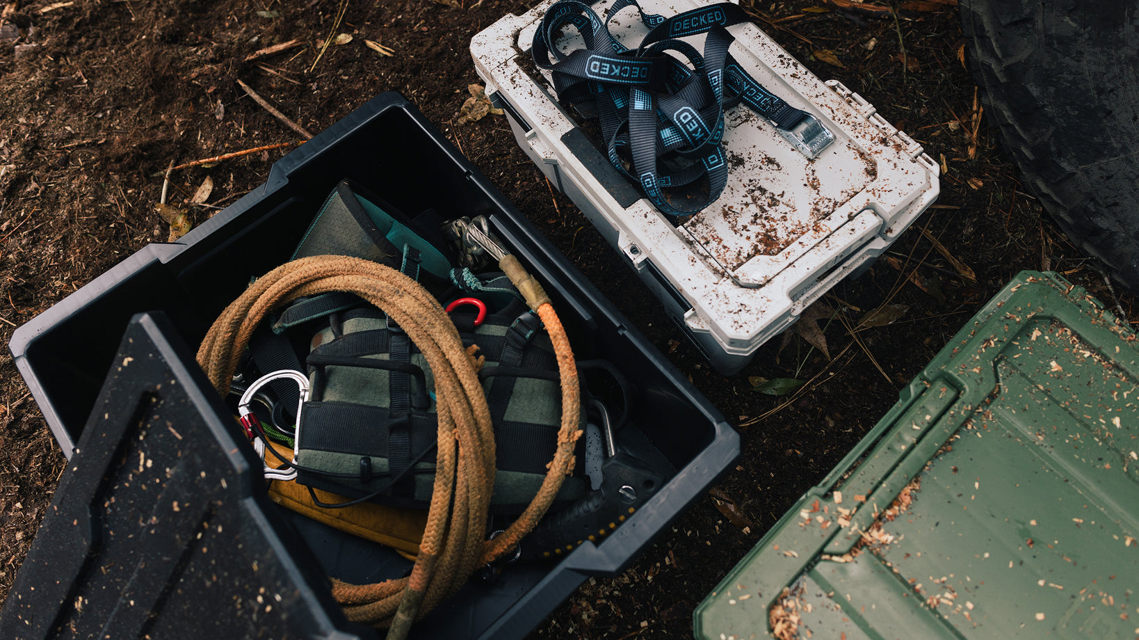 Timber climbing ropes, harnesses, and DECKED cases arranged on the ground at a logging site.