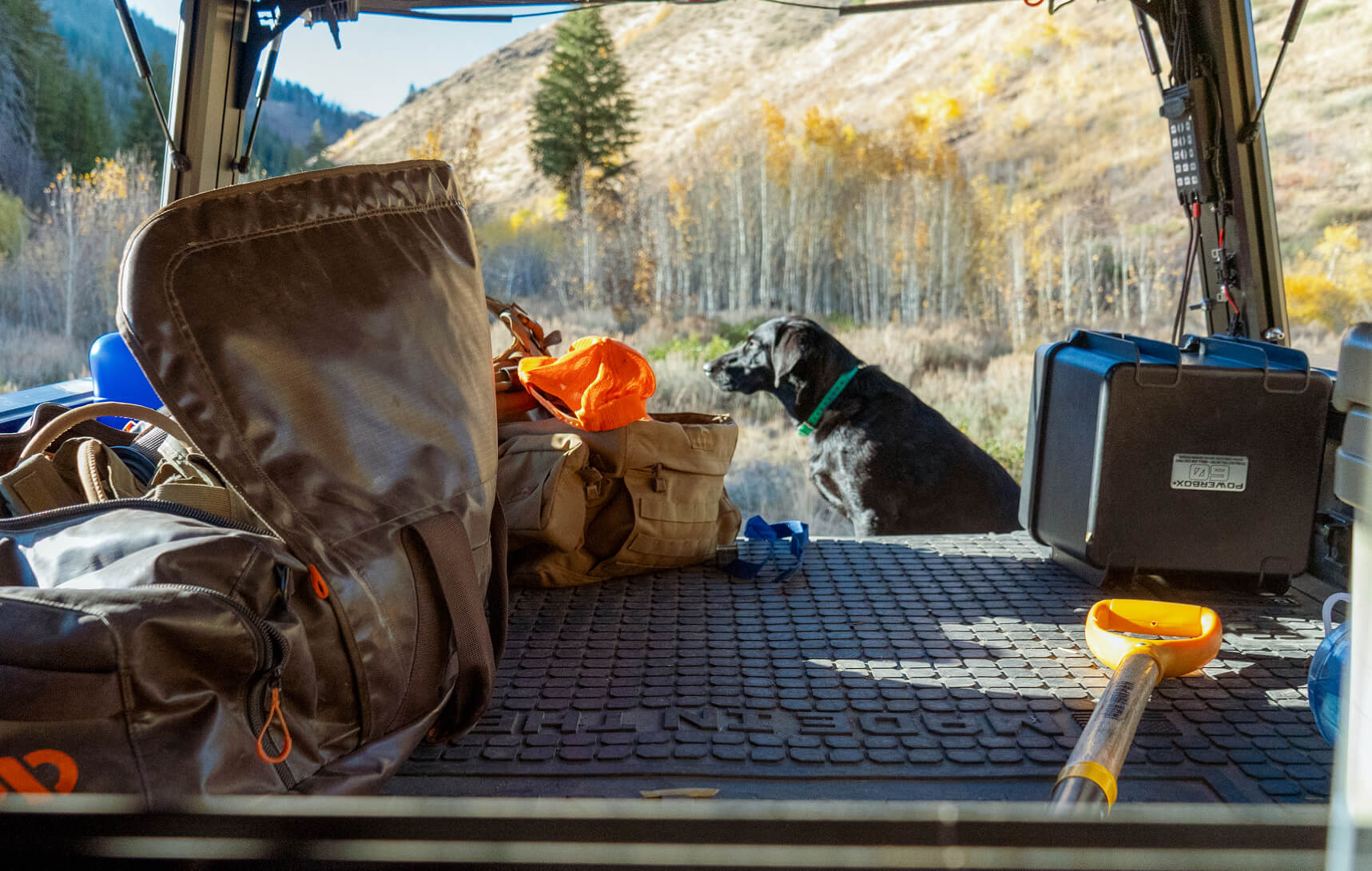 Dog sitting inside a vehicle with hunting gear and equipment sit on top of a DECKED Drawer system.