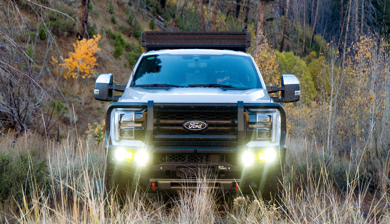 Ford truck in a natural setting with trees and grass.