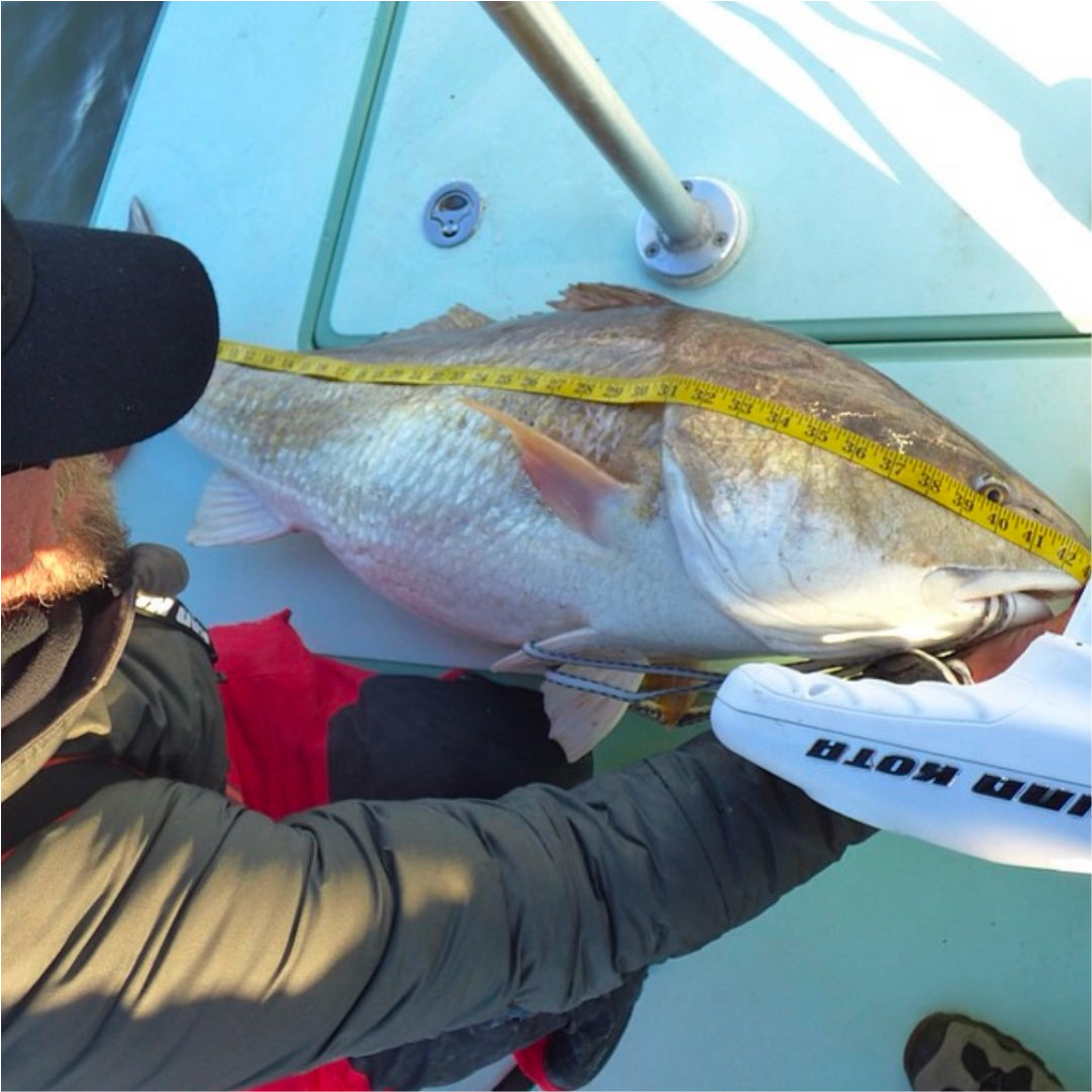 David Mangum measuring a fish just caught from his boat.