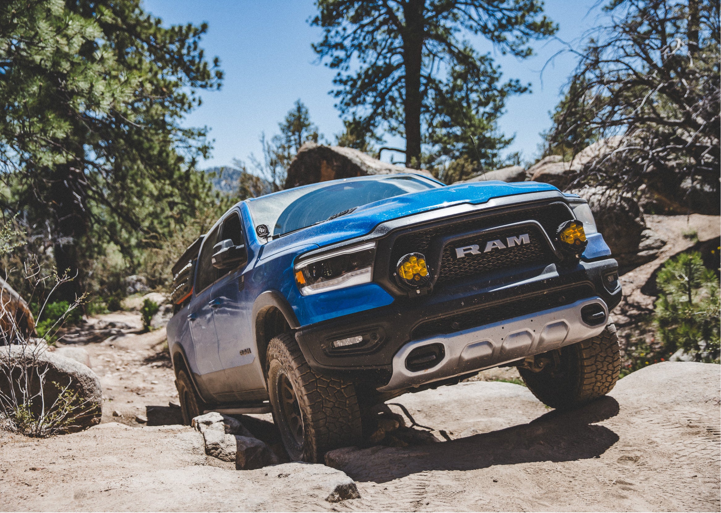 Ram Rebel crawling over rocks