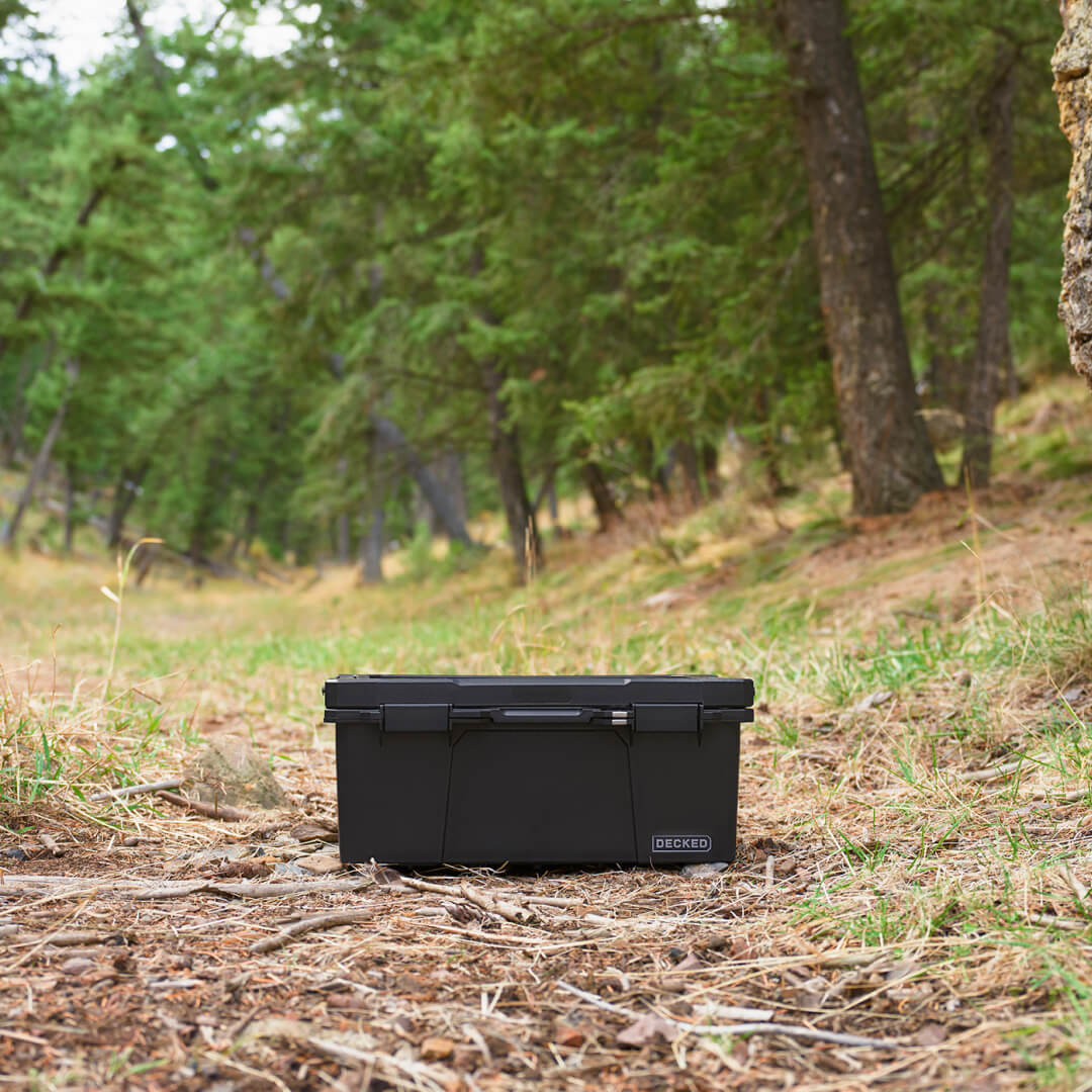 Black sixer sitting on the ground outside