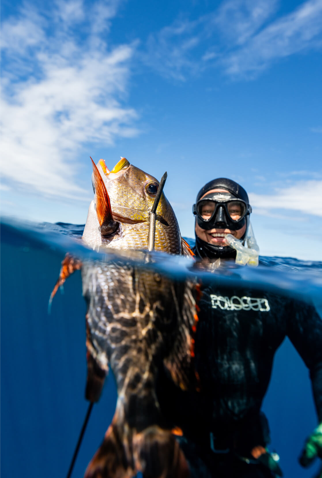 Justin Lee just breaking out of the water with a fish on the tip of his speargun.