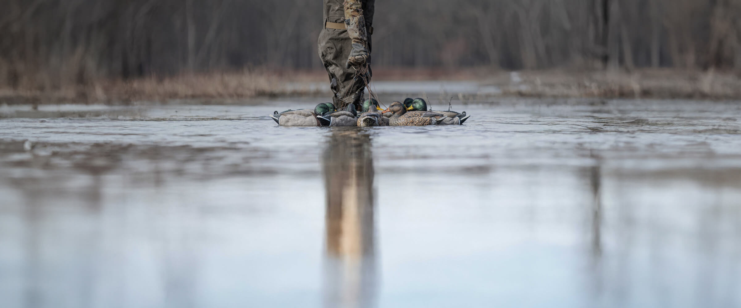 Person in waders in a flooded area hauling decoys.