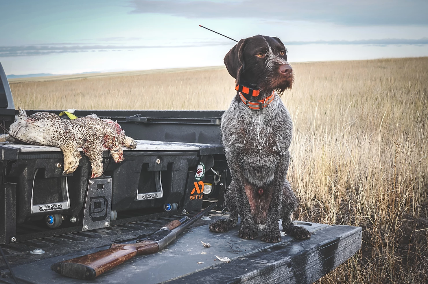 DECKED_Hunting