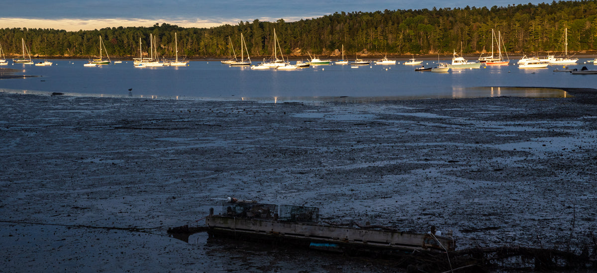 The harbor in Freeport, ME
