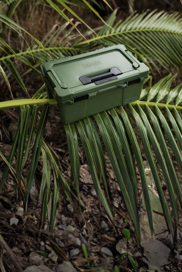 The new Ranger Green Sixer  D-co Case balancing on a palm frond. 