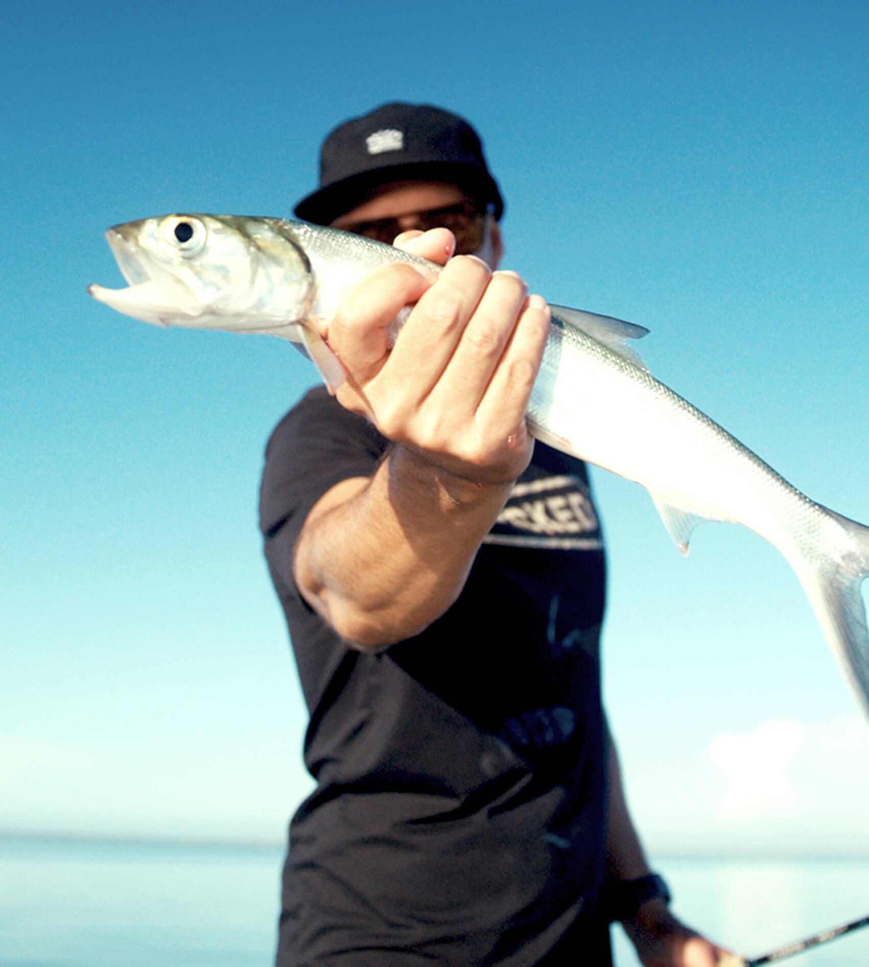 Person holding a fish with a clear blue sky background